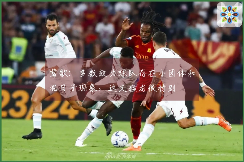 莺歌：多数效力球队存在小团体和混日子现象，这支猛龙很特别