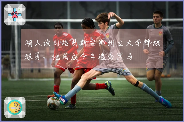 湖人试训路易斯安那州立大学锋线球员，他或成今年选秀黑马