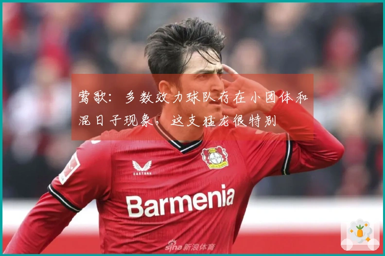莺歌：多数效力球队存在小团体和混日子现象，这支猛龙很特别